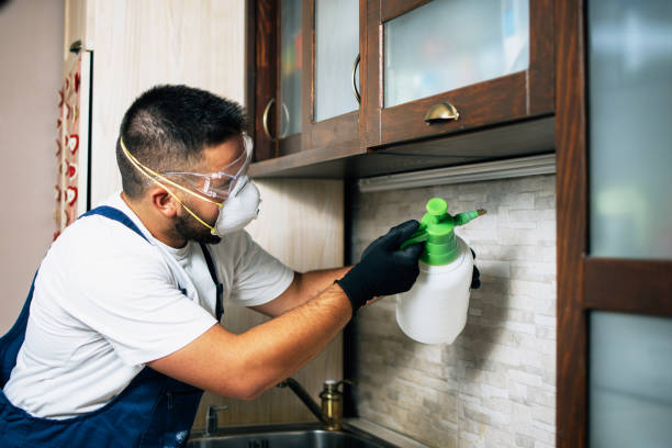  Lac Du Flambeau, WI Pest Control Pros