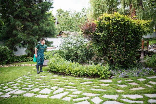 Best Cockroach Control Services  in Lac Du Flambeau, WI