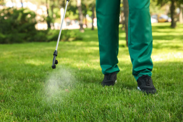 Best Pest Control Near Me  in Lac Du Flambeau, WI