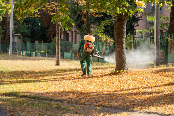Best Rat Extermination Near Me  in Lac Du Flambeau, WI