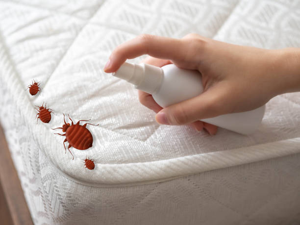 Reliable Lac Du Flambeau, WI Pest Control Solutions