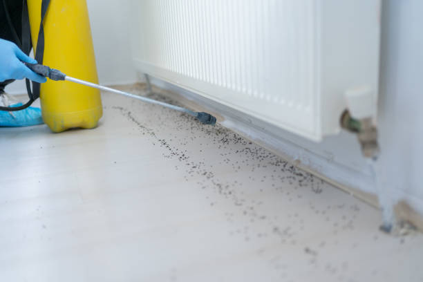  Lac Du Flambeau, WI Pest Control Pros