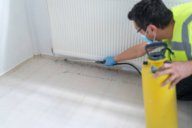 Pest Control Cost in Lac Du Flambeau, WI