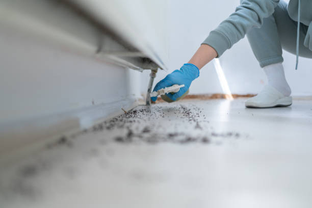 Best Wildlife Control Services  in Lac Du Flambeau, WI