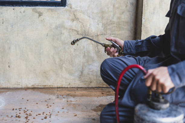 Best Pest Removal Services  in Lac Du Flambeau, WI